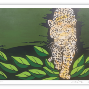 Onça Pintada