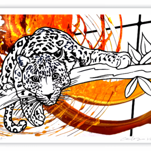 Onça Pintada Pantanal