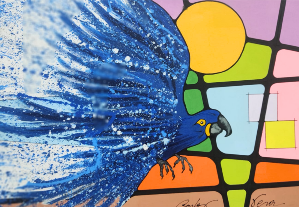 Arara Azul